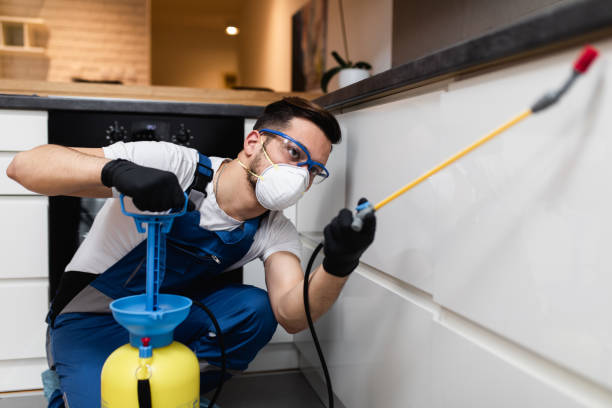 Best Best Pest Control Companies  in Bloomington, IL