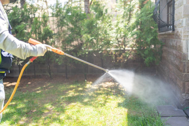 Best Local Pest Control Services  in Bloomington, IL