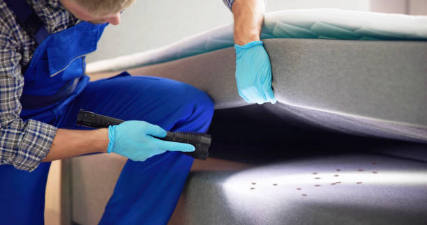 Best Pest Control for Businesses  in Bloomington, IL