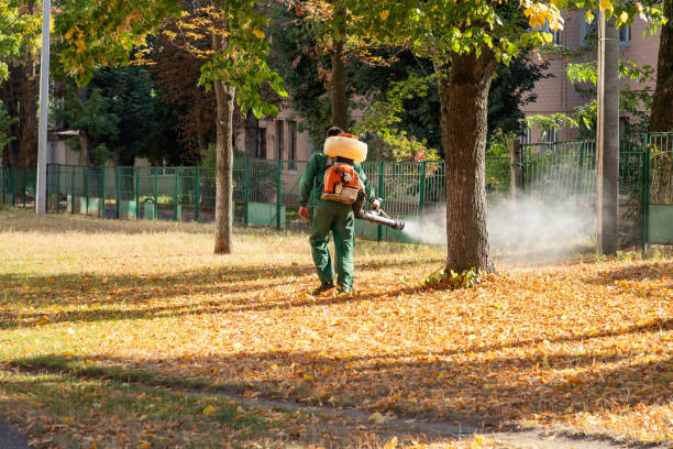 Best Rat Extermination Near Me  in Bloomington, IL