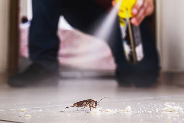 Best Cockroach Control Services  in Bloomington, IL