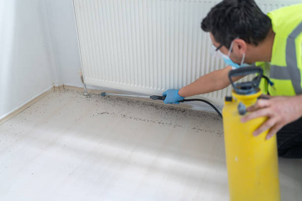 Best Affordable Pest Control Services  in Bloomington, IL
