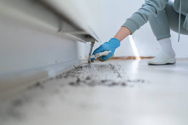 Best Best Pest Control Companies  in Bloomington, IL