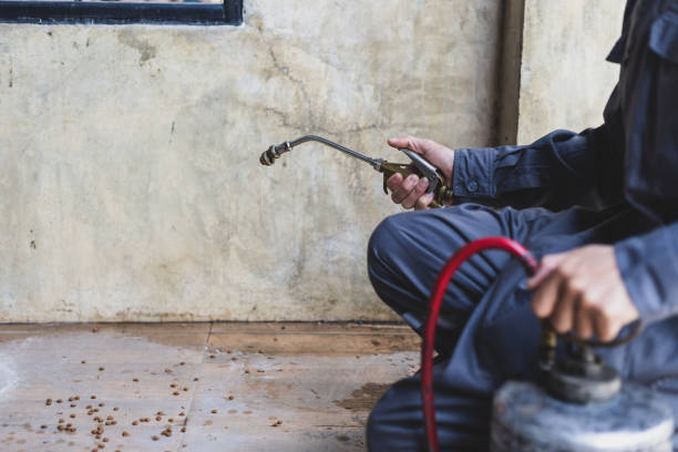 Best Residential Pest Control  in Bloomington, IL