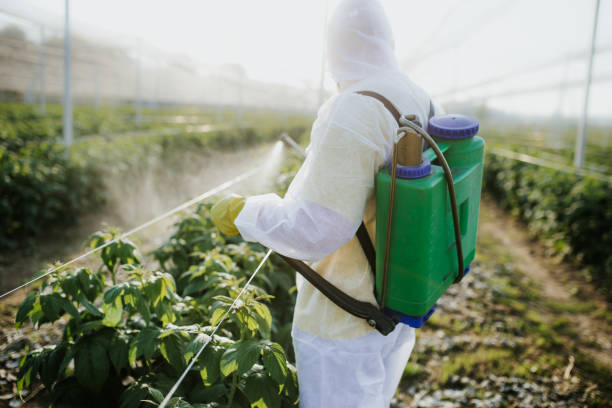 Wildlife Control Services in Bloomington, IL